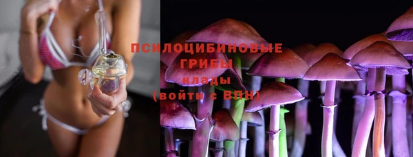 spice Корсаков