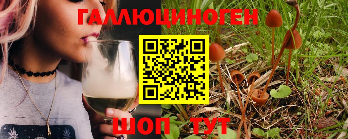 Псилоцибиновые грибы мухоморы  Минеральные Воды 