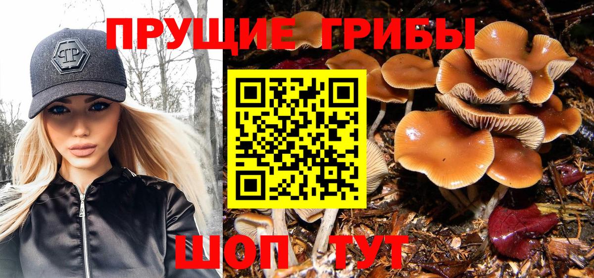 Галлюциногенные грибы мухоморы Минеральные Воды